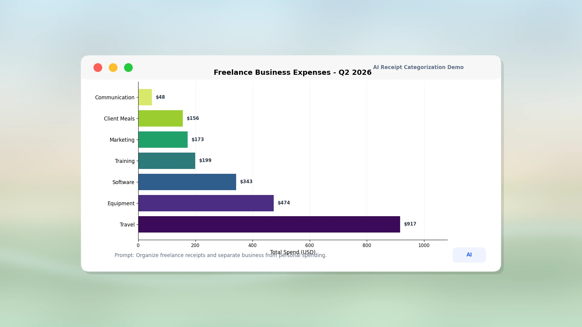 Freelancer Expense Report