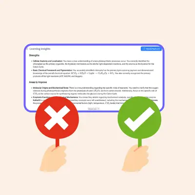 Step 3: Review Cards And Check Learning Status